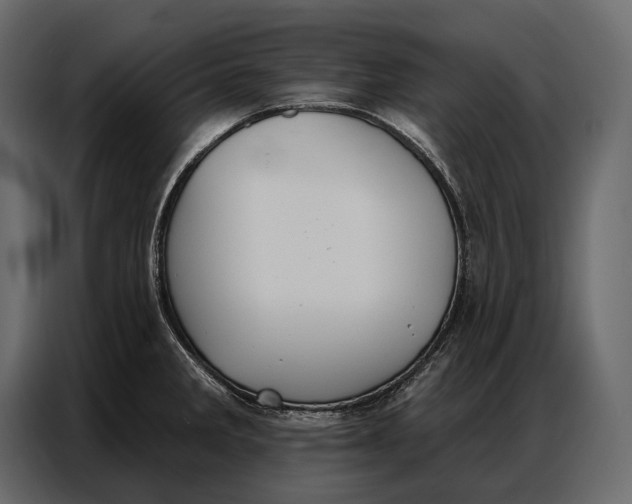 X0000086881285200705071154