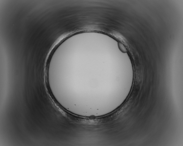 X0000086881286200705071154