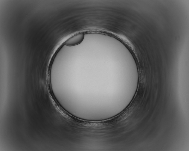 X0000086881287200705071154