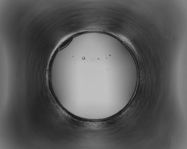 X0000086881288200705071154