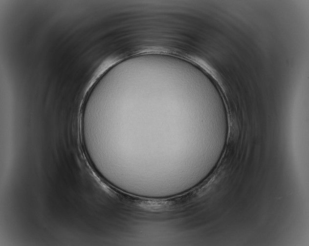 X0000086881290200705071154