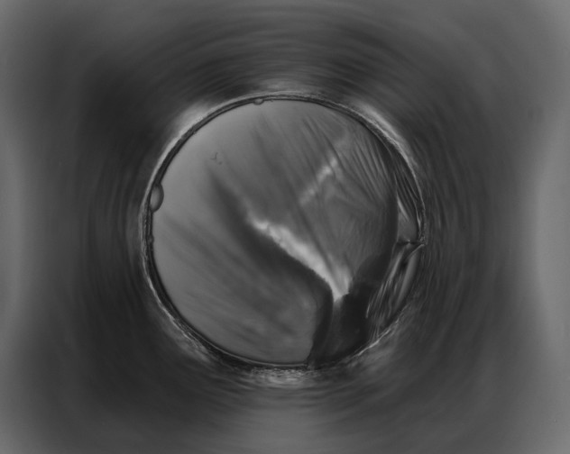 X0000086881291200705071154