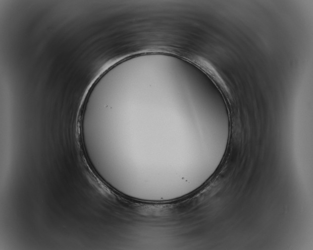 X0000086881292200705071154