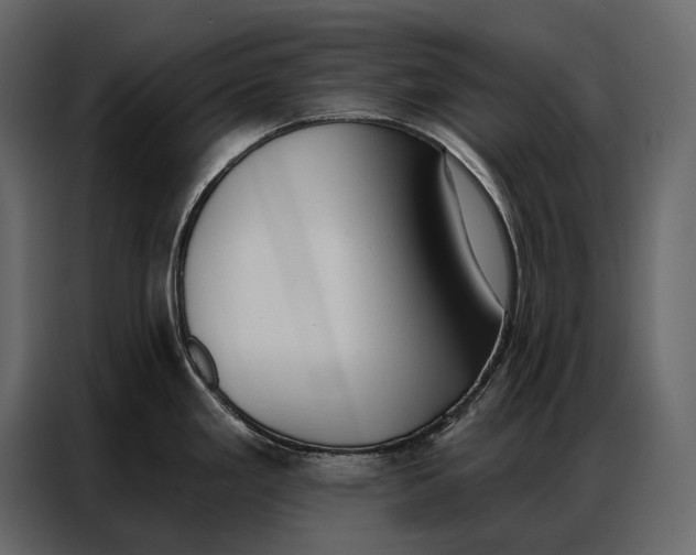 X0000086881293200705071154