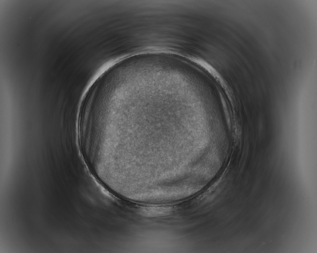 X0000086881294200705071154