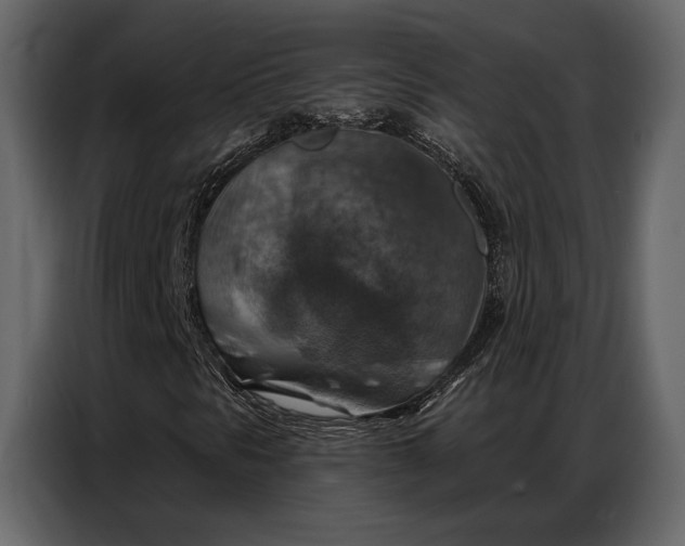 X0000086881297200705071153