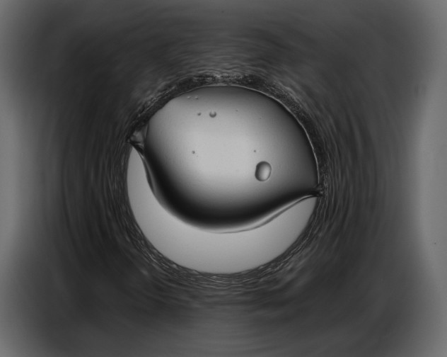 X0000086881298200705071153