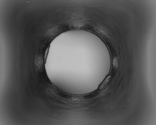 X0000086881299200705071153