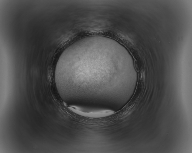 X0000086881300200705071153