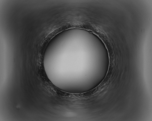 X0000086881301200705071153