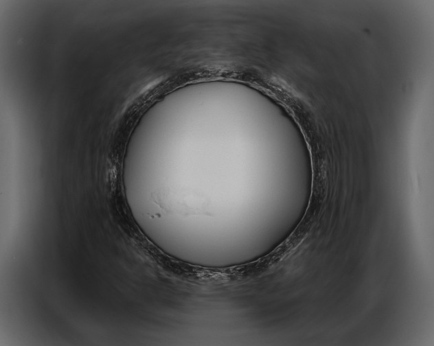 X0000086881302200705071153