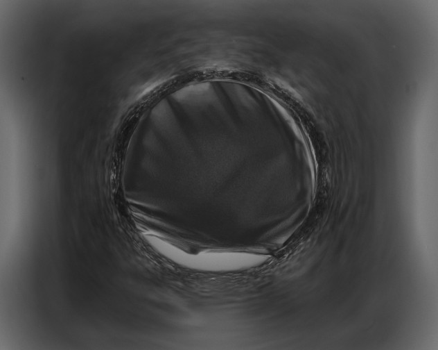 X0000086881303200705071153