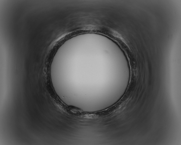 X0000086881304200705071153