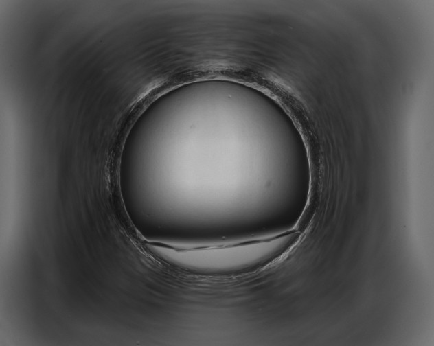 X0000086881305200705071153