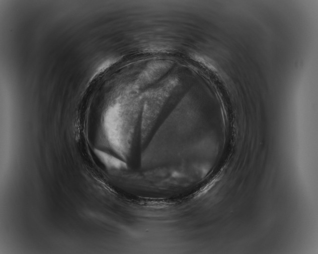 X0000086881306200705071153