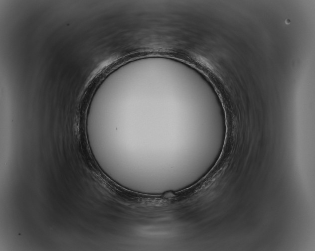 X0000086881307200705071153