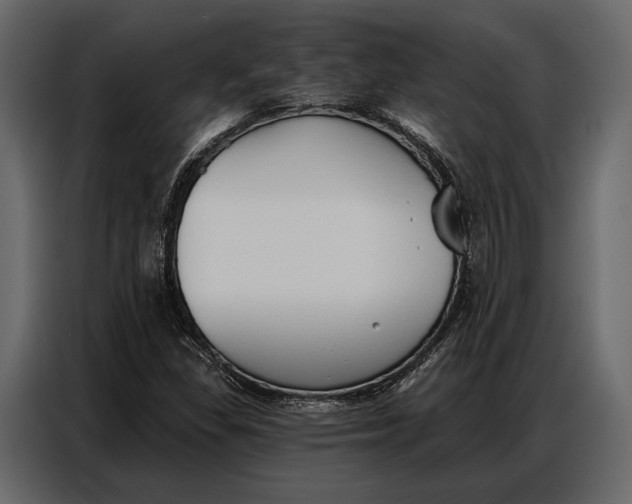 X0000086881309200705071153