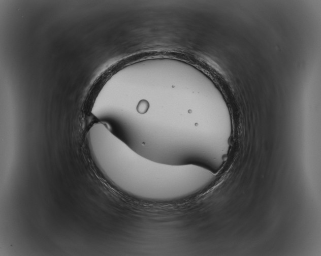 X0000086881310200705071153