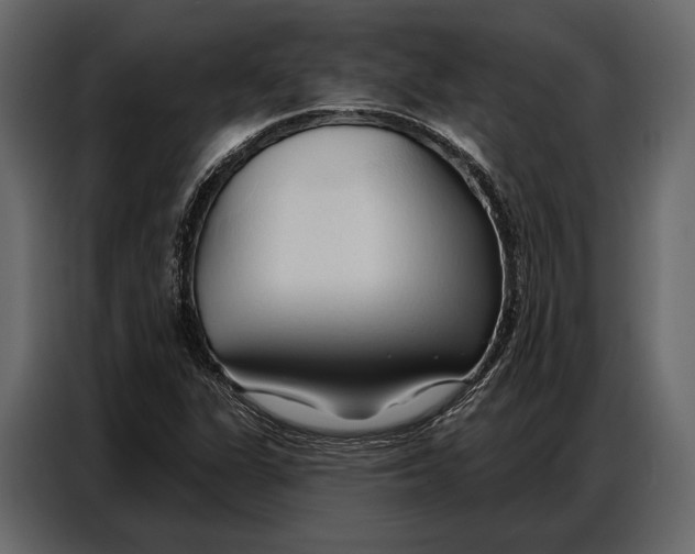 X0000086881311200705071153