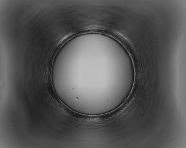 X0000086881313200705071153