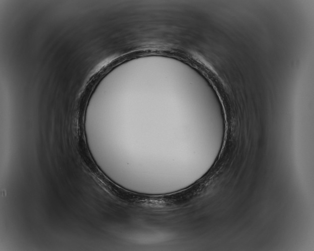 X0000086881315200705071153