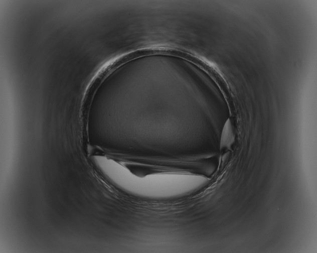 X0000086881319200705071154