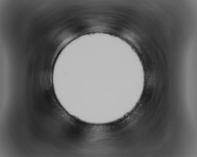 X0000086881322200705071154