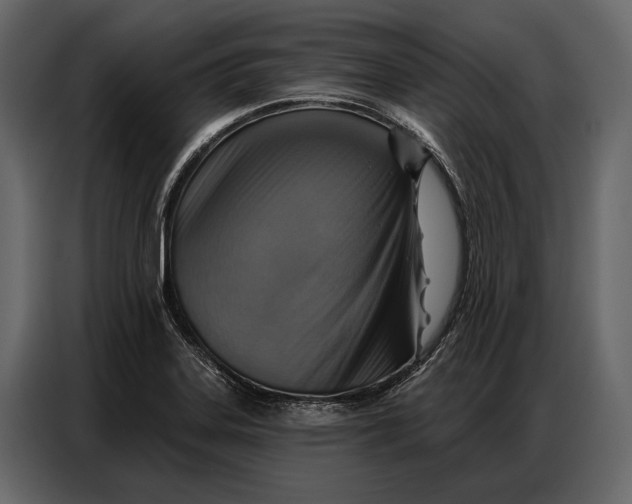 X0000086881323200705071154