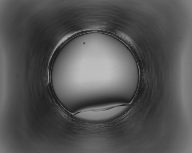 X0000086881324200705071154