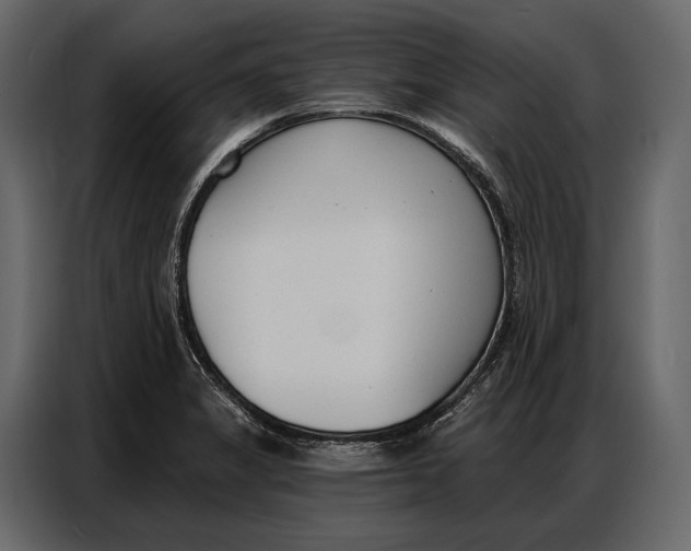 X0000086881325200705071154