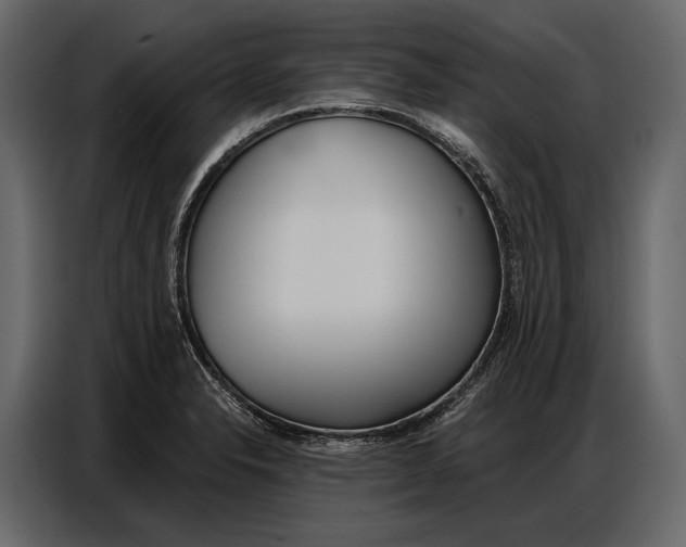 X0000086881326200705071154