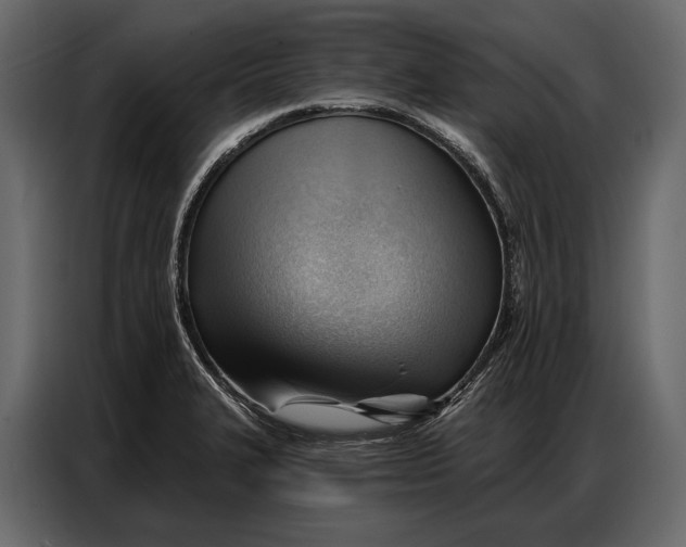 X0000086881327200705071154