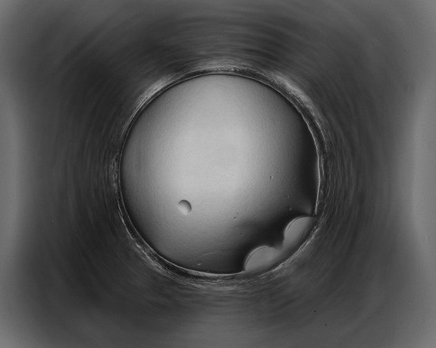 X0000086881329200705071154