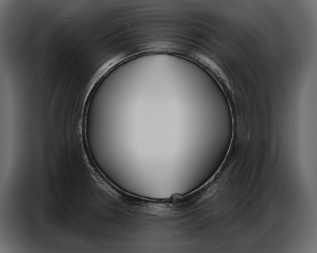 X0000086881330200705071154