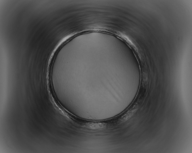 X0000086881331200705071154