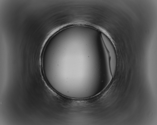 X0000086881335200705071154