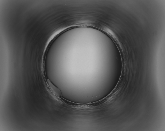 X0000086881336200705071154