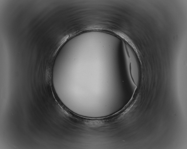 X0000086881337200705071154