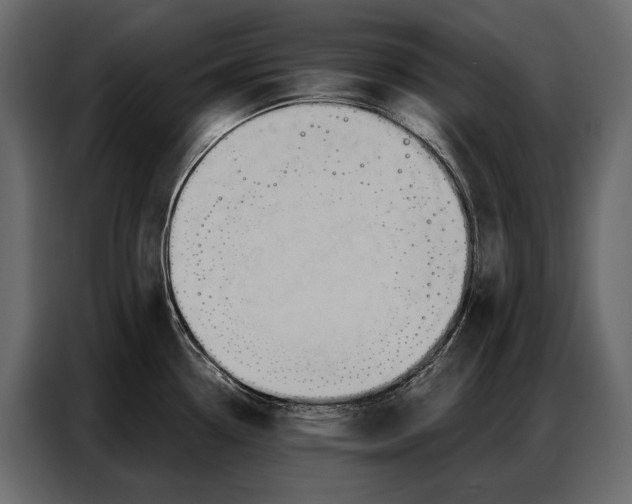 X0000086881338200705071154