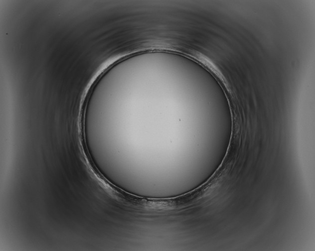 X0000086881339200705071154