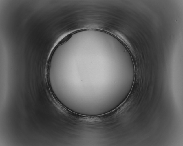 X0000086881340200705071154