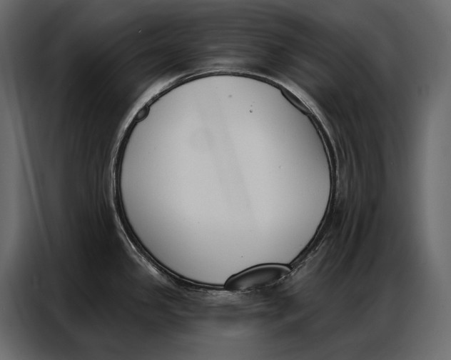 X0000086881341200705071154