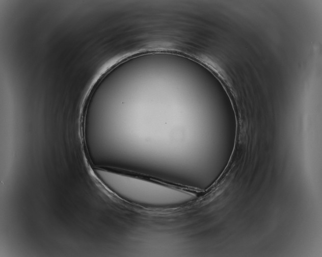 X0000086881342200705071154