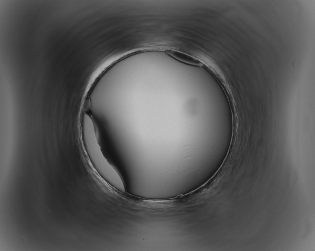 X0000086881344200705071154