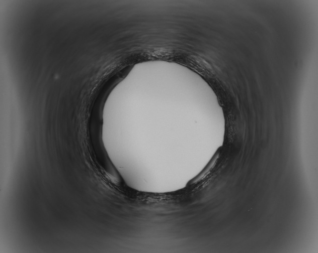 X0000086881345200705071153