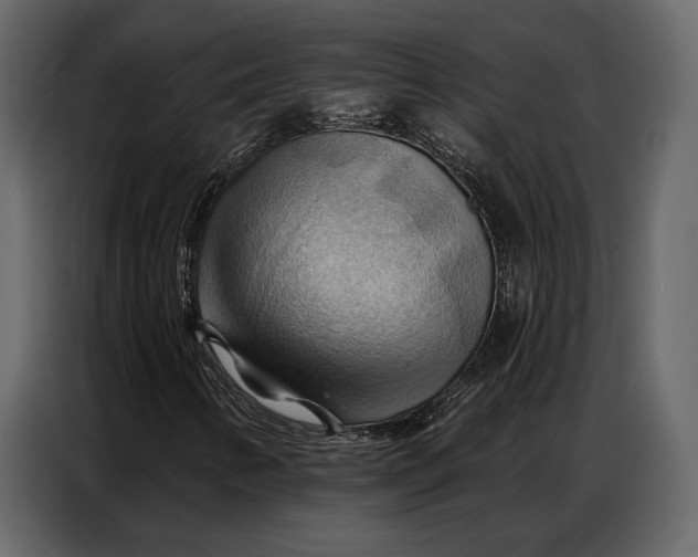 X0000086881346200705071153