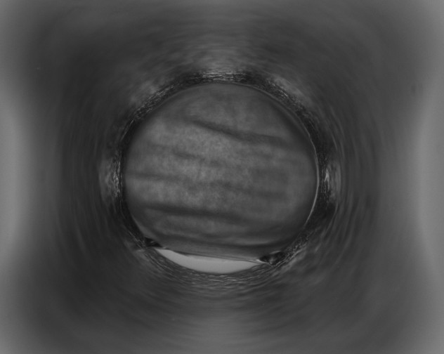 X0000086881348200705071153