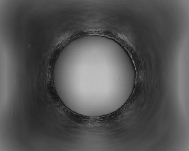 X0000086881350200705071153