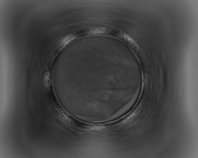 X0000086881353200705071153