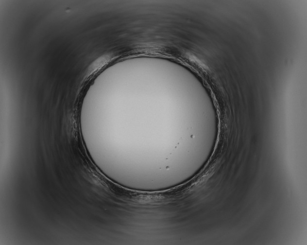 X0000086881354200705071153